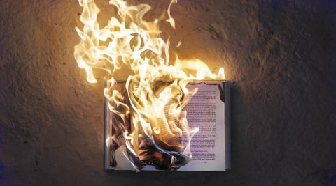 Une profusion de livres, mais qui les lit vraiment ?